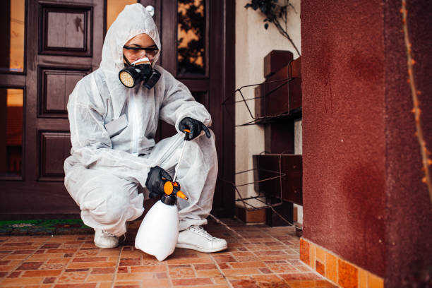 Reliable Wasp Removal contractor in Homestead, PA by Show Me Pest Control